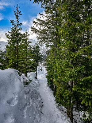 Zielony szlaka na Gęsią Szyję