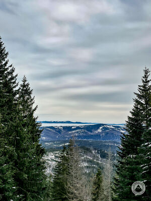 Beskid Sądecki z zieloneg szlaku na Gęsią Szyję