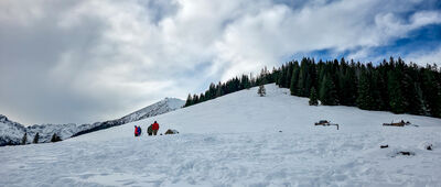 Rusinowa Polana ↔ Gęsia Szyja [Rusinowa Polana]