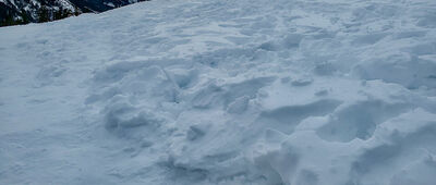 Rusinowa Polana ↔ Czerwone Brzeżki [Rusinowa Polana]