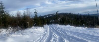 Rozejście szlaków ↔ Slodičovský vrch