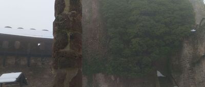 Zamek Chojnik ↔ Przełęcz Żarska