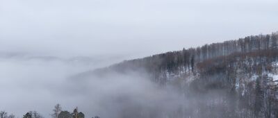 Zamek Chojnik ↔ Przełęcz Żarska