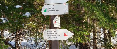 Rozdroże nad Źródełkiem