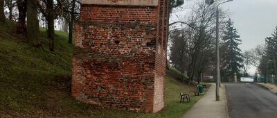 Pluskowęsy ↔ Kowalewo Pomorskie