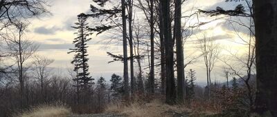 Przełęcz Kołowrót ↔ Pod Kozią Górą, wiata [Widok z Kołowrotu w kierunku Beskidu Małego]