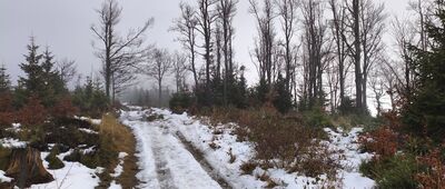 Ruiny schroniska Magura-Kąpielisko ↔ Schronisko PTTK Klimczok [O, to właśnie ta chmura na Klimczoku.]