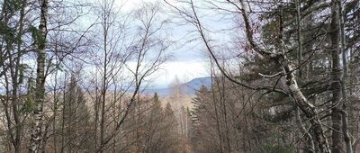 Lanckorona [Lanckorona.]