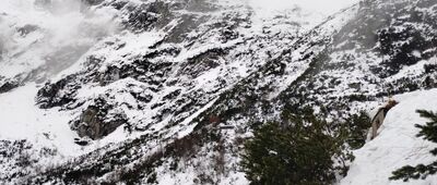 Chata pri Zelenom plese, rázc.