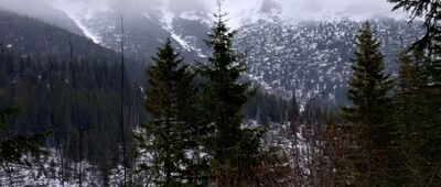 Chata pri Zelenom plese, rázc. ↔ Nizna Folvarska Polana