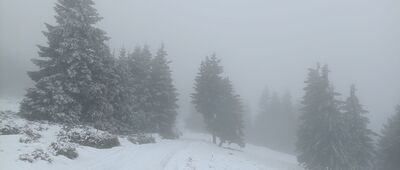 U Klínových bud ↔ Klínovka