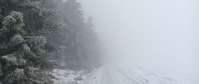 Zadní Rennerovky ↔ Zadní Rennerovky, skrzyżowanie