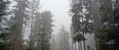 Zadní Rennerovky, skrzyżowanie ↔ Hanapetrova paseka