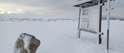 Jantárová cesta, granica