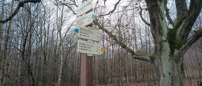 Pod Jankovým kopcem