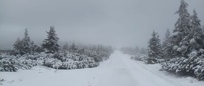 Luční Bouda ↔ Výrovka