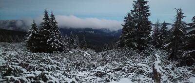 Výrovka ↔ Zadní Planina