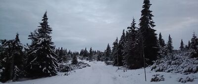Zadní Planina ↔ Chata na Rozcestí
