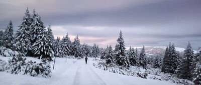 Zadní Planina ↔ Chata na Rozcestí