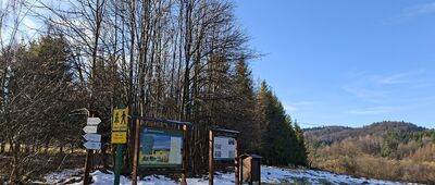 Lipowiec, odejście ścieżki spacerowej