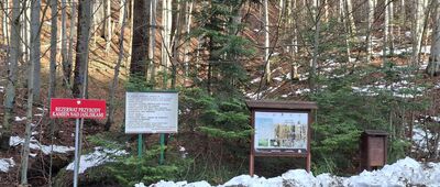 Rezerwat Kamień nad Jaśliskami