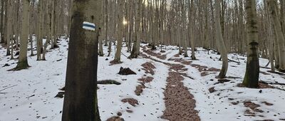 Rezerwat Kamień nad Jaśliskami ↔ Pod Fujowem