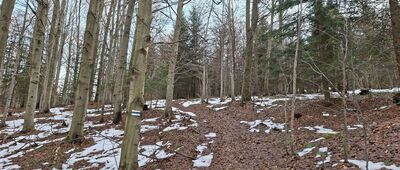 Rezerwat Kamień nad Jaśliskami ↔ Pod Fujowem