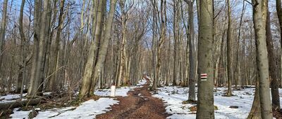 Pod Fujowem ↔ Kamień, szczyt południowy