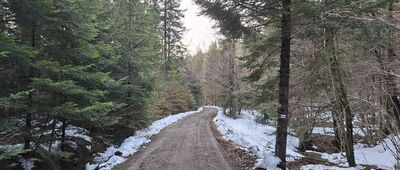 Czeremcha ↔ Rezerwat Kamień nad Jaśliskami
