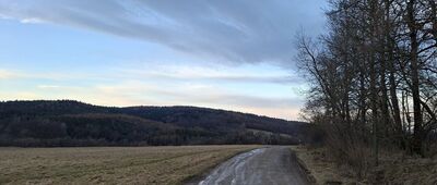 Lipowiec, odejście ścieżki spacerowej ↔ Czeremcha