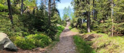 U Pánovy věže, Nad Roklí