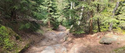 Supí hnízdo, odbočka k vyhlídce ↔ U Pánovy věže, Nad Roklí