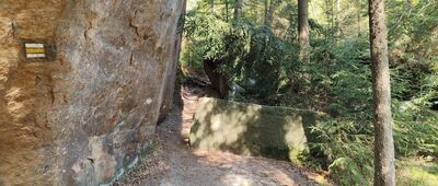 Kamenná brána, vyhlídka odbočka ↔ Koruna, odbočka