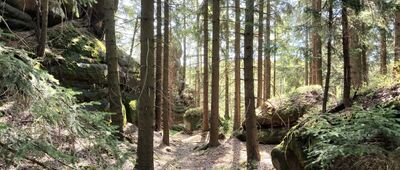 Kamenná brána, vyhlídka odbočka ↔ Kamenná brána