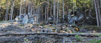 U Zeleného hájku ↔ Rozejście szlaków