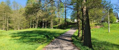 Rozejście szlaków ↔ Horní Božanov