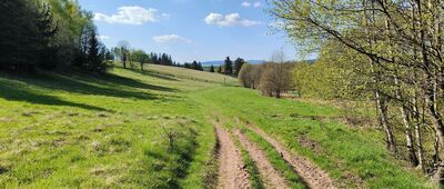 Lesica, rozejście szlaków ↔ Czerwony Strumień