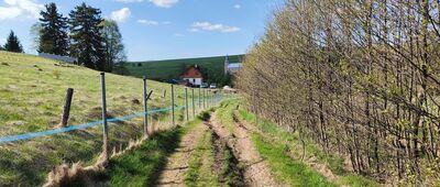 Lesica, rozejście szlaków