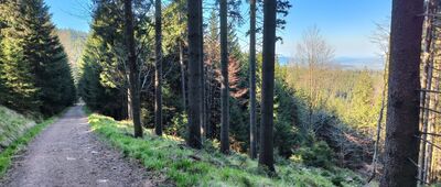 Czarny Rów ↔ Rozdroże pod Kamiennym Garbem