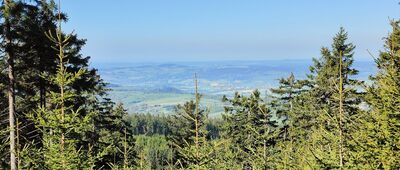 Czarny Rów ↔ Rozejście szlaków