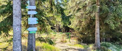 Przejście graniczne Jodłów / Horni Morava