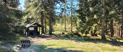 Przejście graniczne Jodłów / Horni Morava