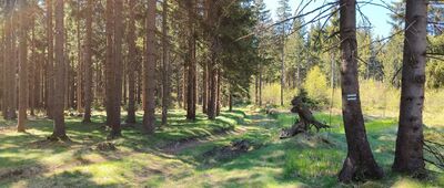 Przejście graniczne Jodłów / Horni Morava ↔ Pod Opaczem