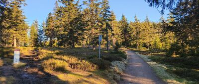 Przy przełęczy Stříbrnická