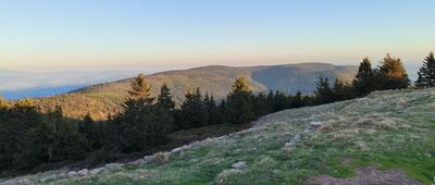 Posąg słonia na Śnieżniku