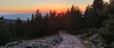 Śnieżnik ↔ Jaskółcze Skały