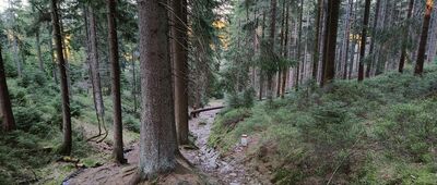 Głęboka Jama ↔ Przy przełęczy Stříbrnická