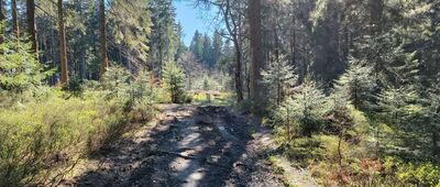 Pod Jelenią Kopą, Rezerwat Nowa Morawa