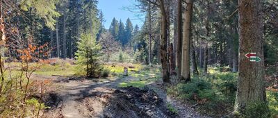 Pod Jelenią Kopą, Rezerwat Nowa Morawa