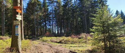 Pod Jelenią Kopą, Rezerwat Nowa Morawa